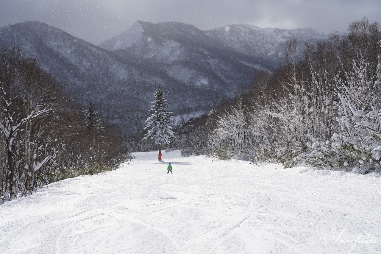 札幌国際スキー場 これぞ北海道。粉雪が降り積もったゲレンデはコンディション良好！そして、早くも全コース滑走可能です(*^^)v